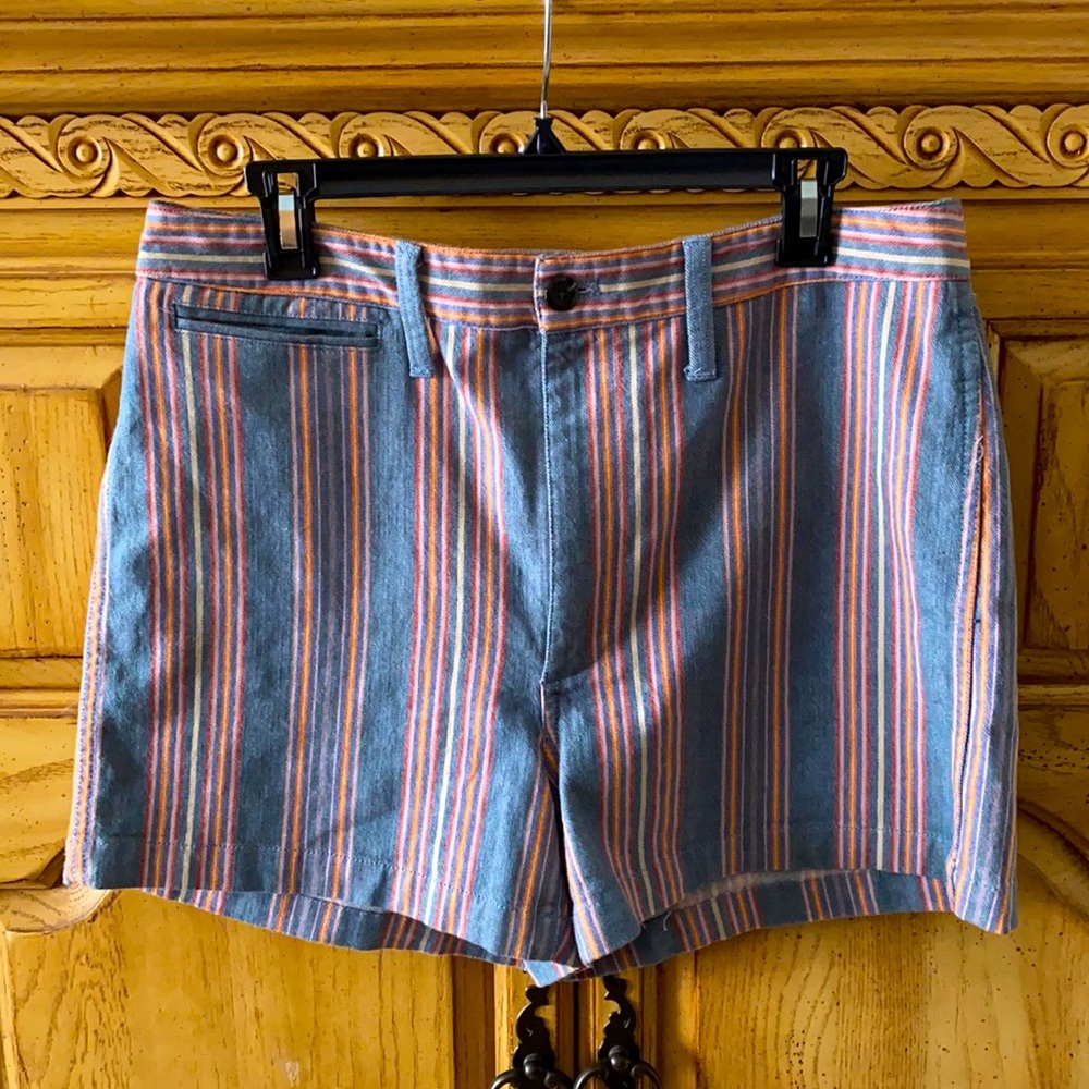 Madewell Emmett Shorts in Rainbow Stripe (31)